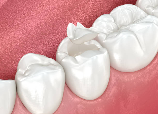 Professional Dental Services in Cedar Springs, MI